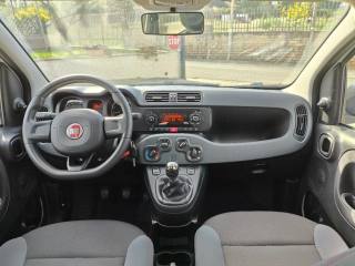 FIAT Panda usata 6