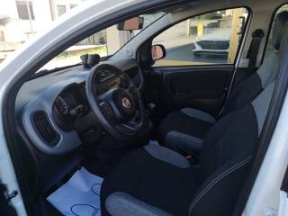 FIAT Panda usata, con Climatizzatore