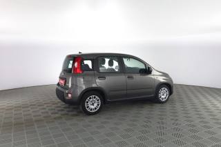 FIAT Panda usata 2