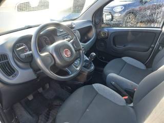 FIAT Panda usata 8