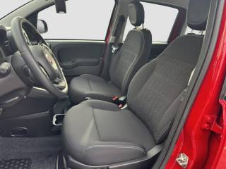 FIAT Panda usata 8