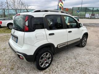 FIAT Panda Cross usata, con Airbag Passeggero
