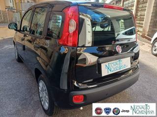 FIAT Panda usata, con Cruise Control