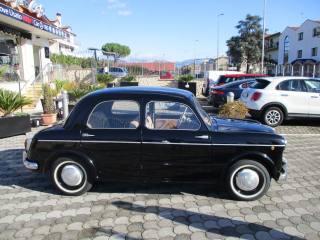 FIAT 1100 usata 3