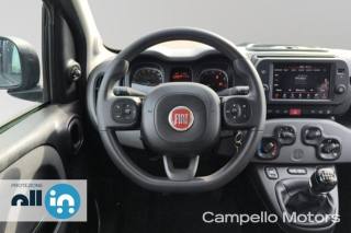 FIAT Panda usata 6