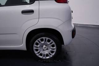 FIAT New Panda usata 22