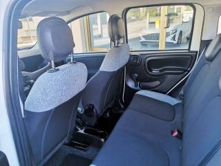 FIAT Panda usata, con Immobilizzatore elettronico