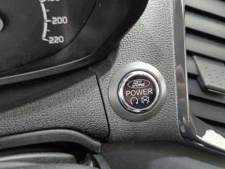 FORD EcoSport usata 22