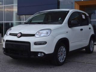 FIAT Panda 1.0 S&S Hybrid Van + Pack Confort 2P