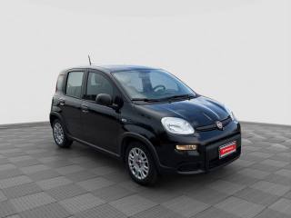 FIAT Panda usata 6