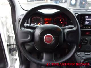 FIAT Panda usata, con Airbag testa