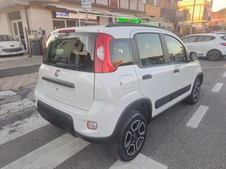 FIAT Panda usata, con Boardcomputer