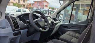 FORD Transit usata, con Servosterzo