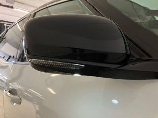 RENAULT Scenic usata 24