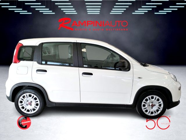 FIAT Panda usata 5