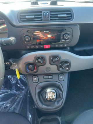 FIAT Panda usata, con Climatizzatore