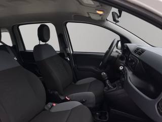 FIAT Panda usata 8