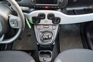 FIAT Panda Cross usata, con Vetri oscurati