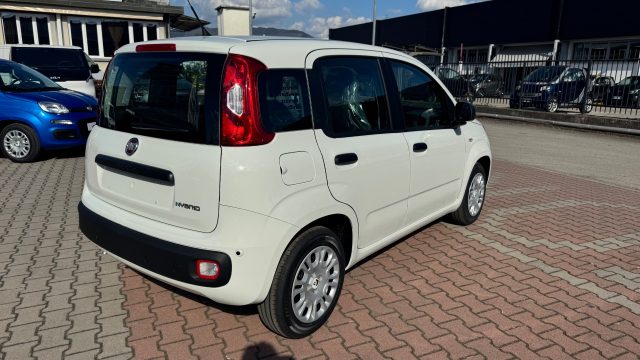 FIAT Pandina usata, con Climatizzatore