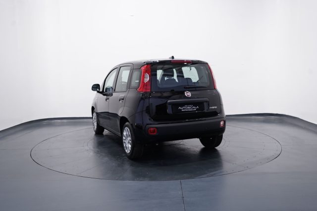 FIAT New Panda usata, con Alzacristalli elettrici