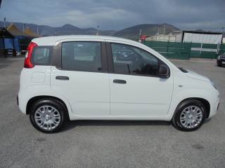 FIAT Panda usata, con Airbag testa