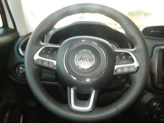 JEEP Renegade usata, con Controllo trazione