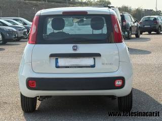 FIAT Panda usata 6