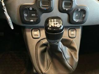 FIAT Panda usata 25