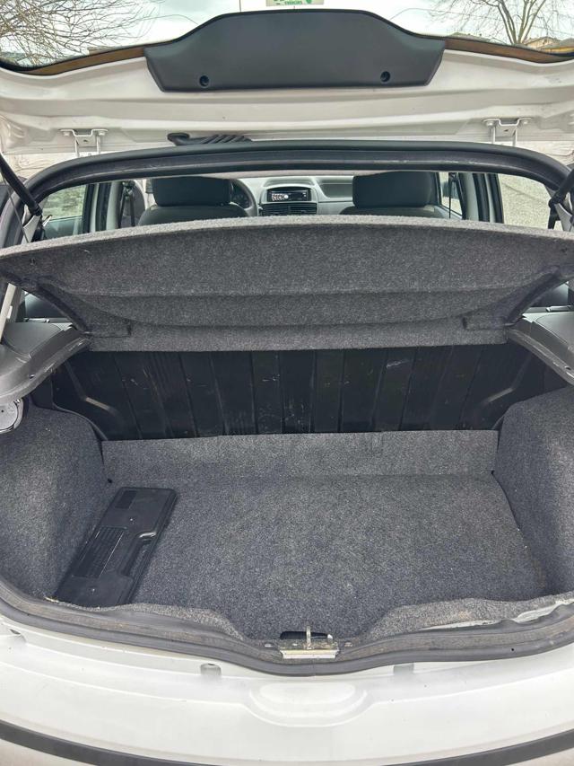 FIAT Punto usata 12