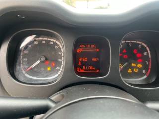 FIAT Panda usata, con Servosterzo