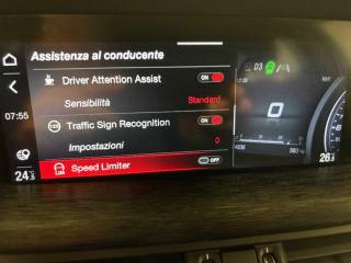 ALFA ROMEO Stelvio usata, con Bracciolo