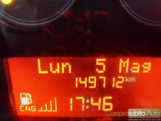 FIAT Punto usata, con Sedile posteriore sdoppiato