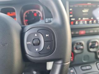 FIAT Panda Cross usata, con Fendinebbia