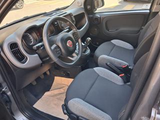 FIAT Panda usata, con USB