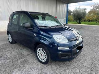 FIAT Panda 1.2 Lounge gpl