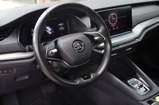 SKODA Octavia usata 93