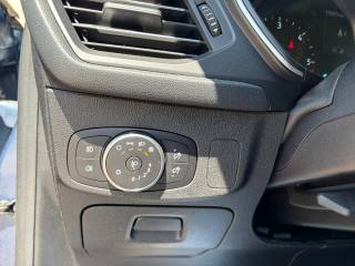 FORD Focus usata, con Cruise Control