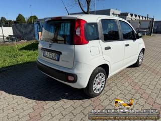 FIAT Panda usata, con Boardcomputer