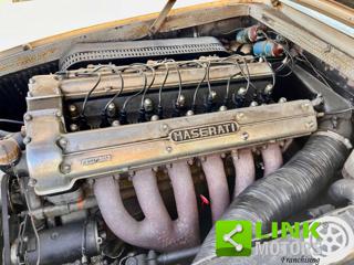 MASERATI Other usata 43