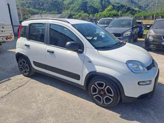 FIAT Panda usata, con Servosterzo