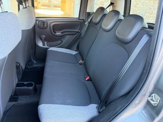 FIAT Panda usata, con Cronologia tagliandi