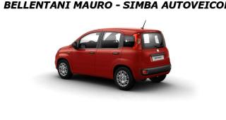 FIAT Panda usata, con Airbag Passeggero