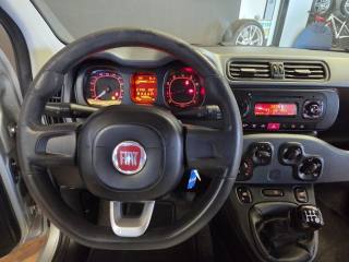 FIAT Panda usata, con Fendinebbia