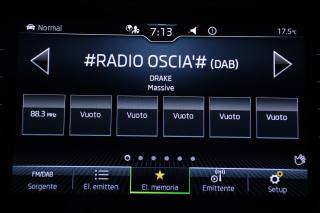 SKODA Kodiaq usata, con Vivavoce