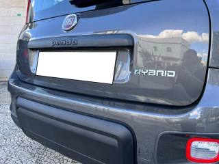 FIAT Panda usata 28
