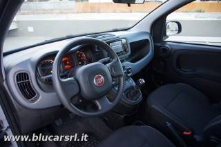 FIAT Panda usata, con Chiusura centralizzata