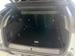 PEUGEOT 3008 usata, con Controllo trazione