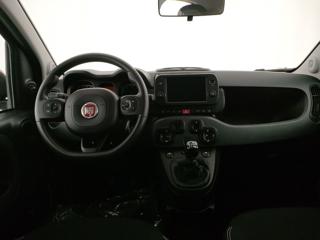 FIAT Panda Cross usata, con Controllo automatico clima