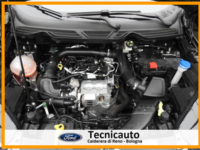 FORD EcoSport usata, con Sensori di parcheggio posteriori