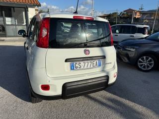 FIAT Panda usata, con Controllo trazione